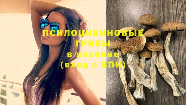 крисы Нефтекумск
