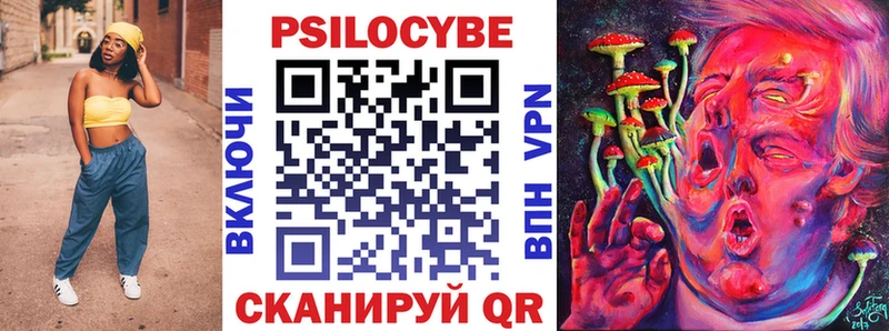 закладки  Певек  Псилоцибиновые грибы Cubensis 